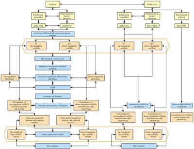 Immune cells and their related genes provide a new perspective on the common pathogenesis of ankylosing spondylitis and inflammatory bowel diseases